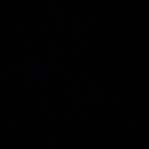 Meet your Posher, Destiny